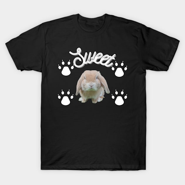 Cute Bunny Rabbit Paws T-Shirt by jerranne